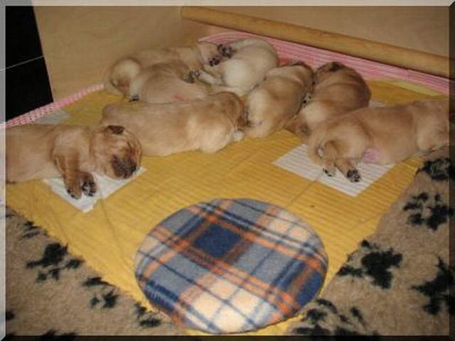 Bild2 81